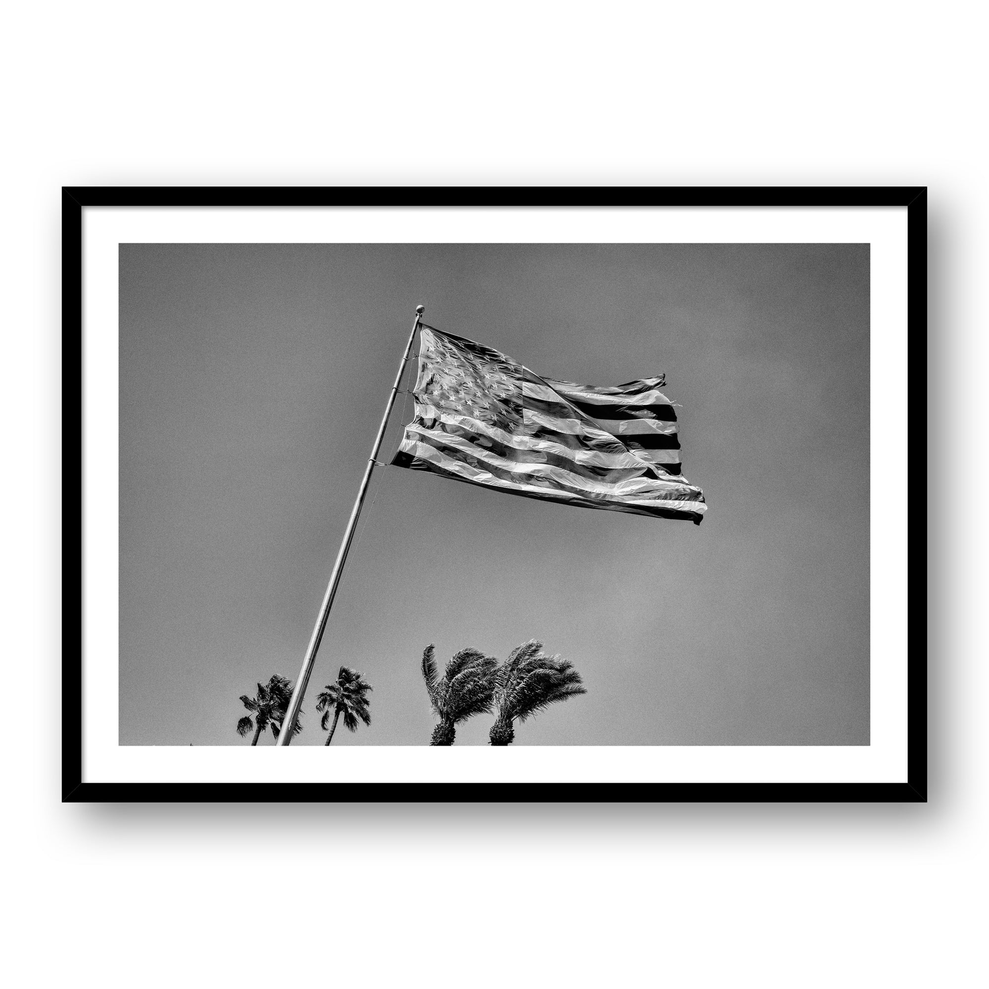SI American Flag #4507