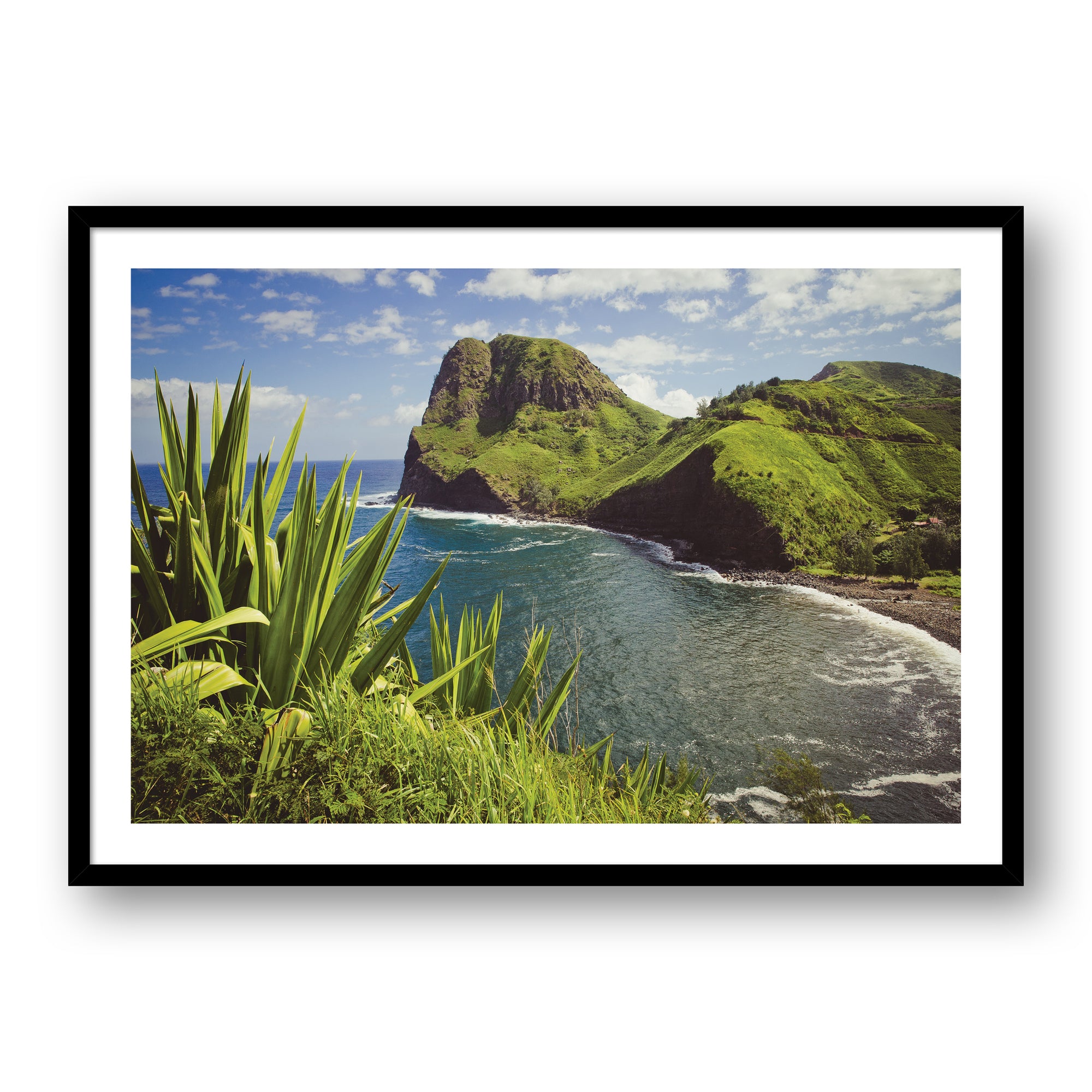 SI Maui Island Cove #0780