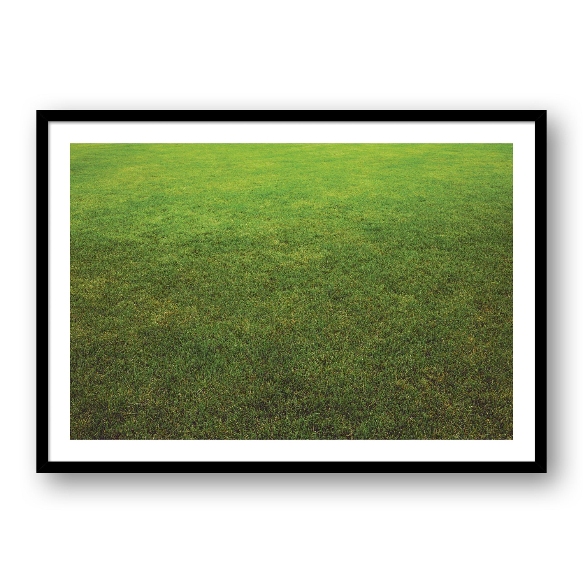 SI Mowed Grass #9151